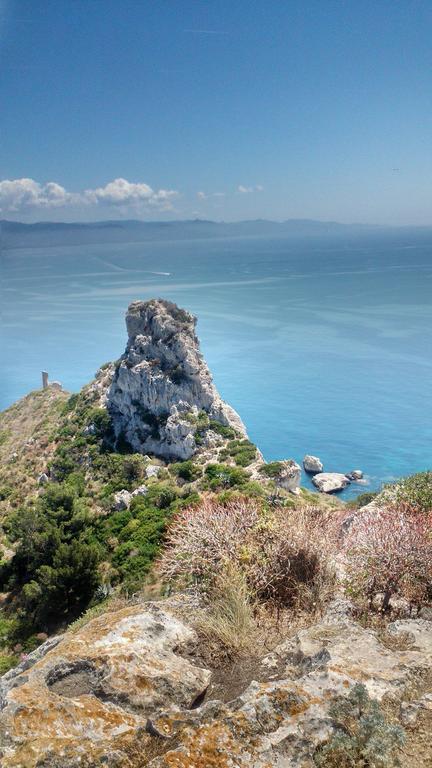 Alfieri B&B Cagliari Eksteriør bilde